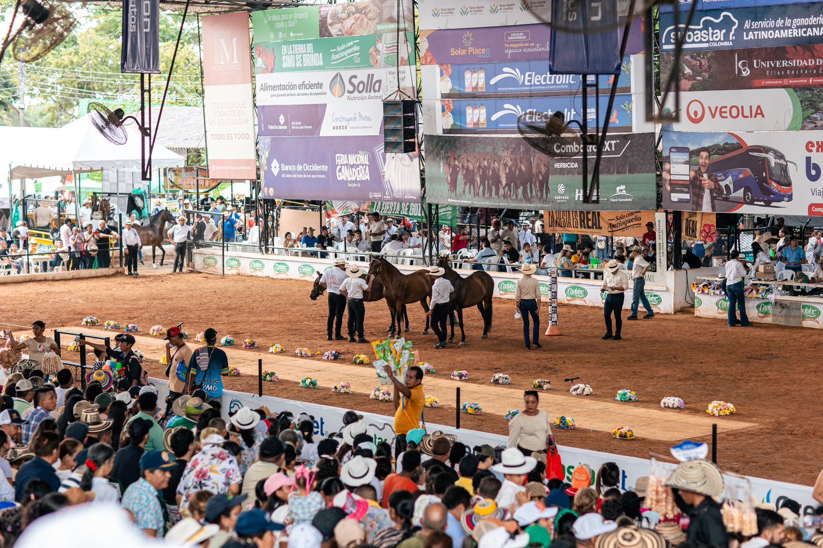 Feria de la ganaderìa