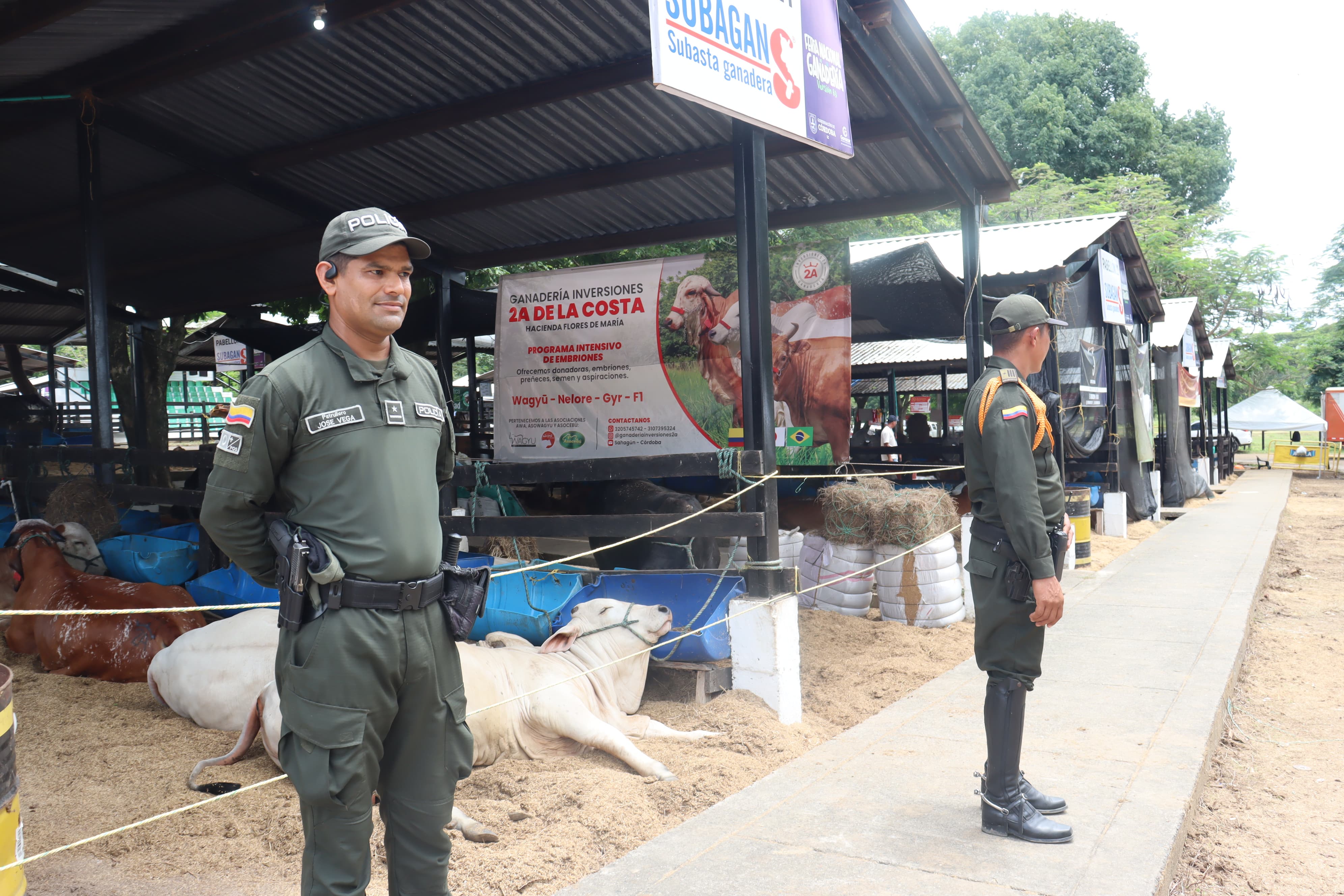 Los operativos se extienden en toda la ciudad
