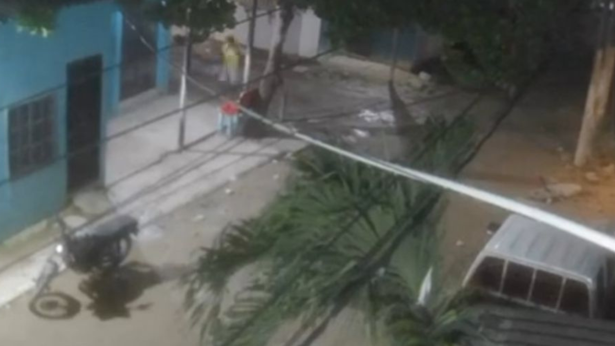 Foto del caso de maltrato animal en Villa Hermosa