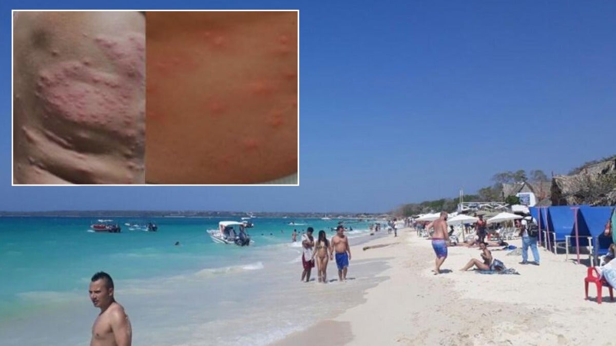 Brote en playa de Santa Marta