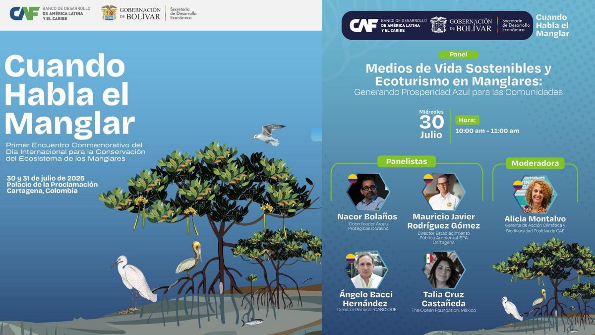 foro en Cartagena para protección de manglares