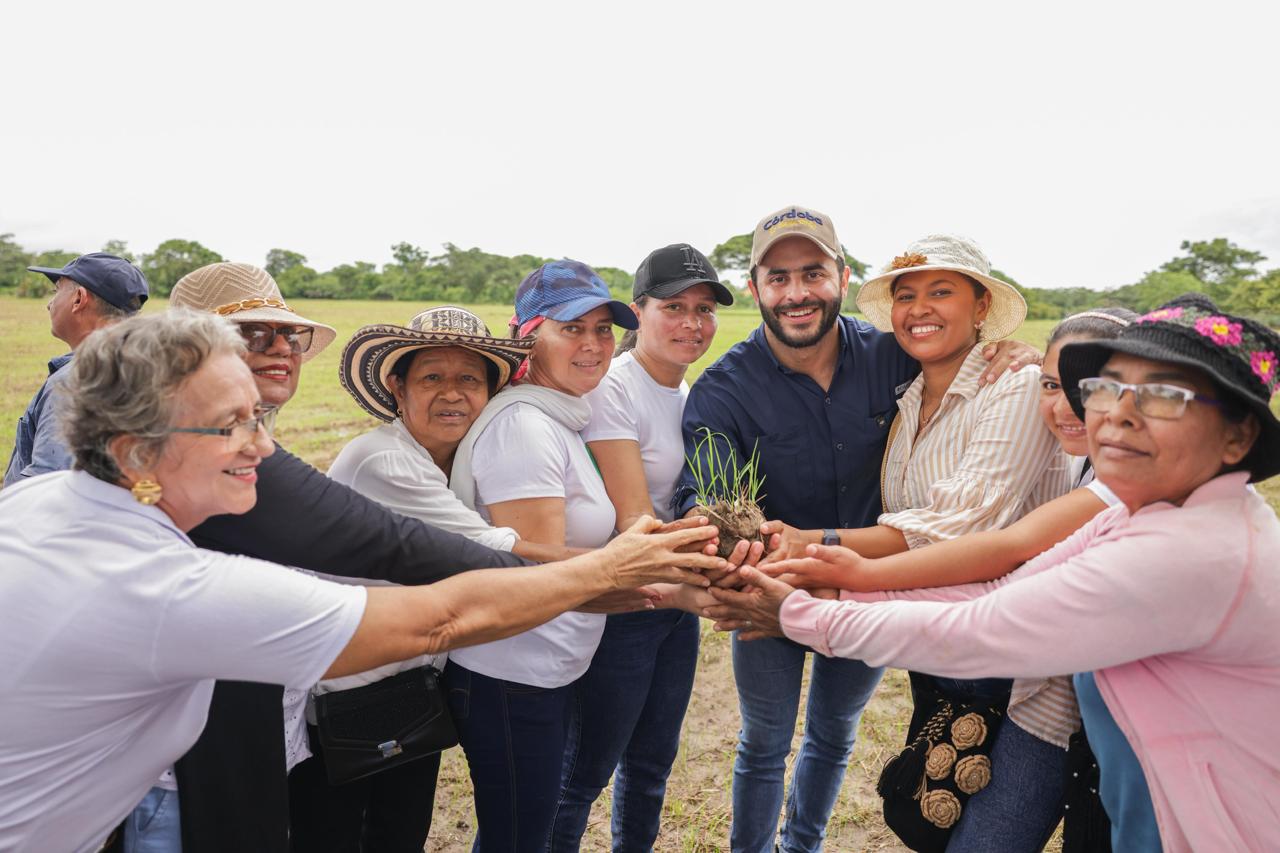 El predio está ubicado en Pueblo Nuevo