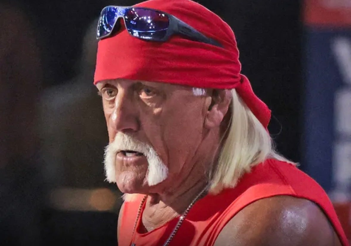 Hulk Hogan, luchador