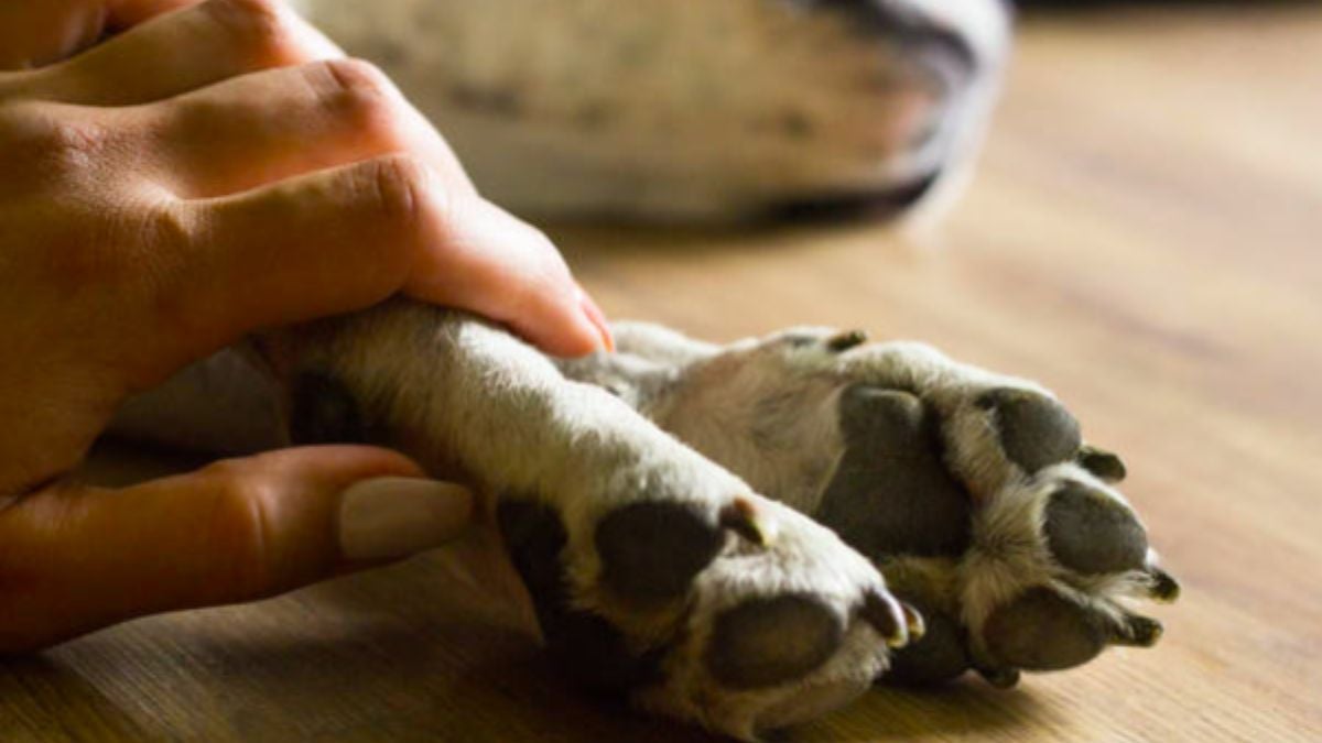 Fotografía no relacionada directamente con los hechos
