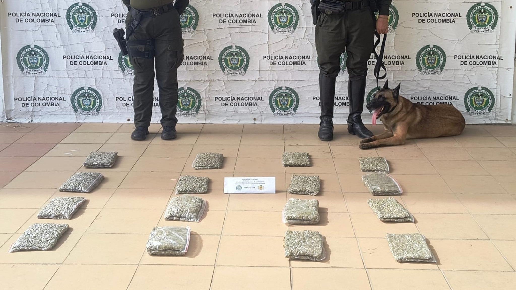 Canino de la Policía en Cartagena ha detectado más de 60 mil dosis de estupefacientes