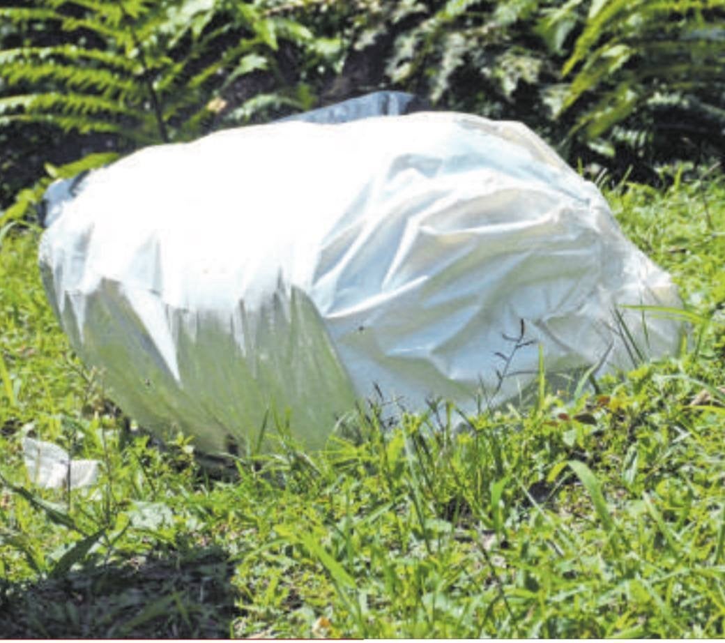 Cuerpo de mujer asesinada fue ocultado en un colchón y abandonado en zona boscosa
