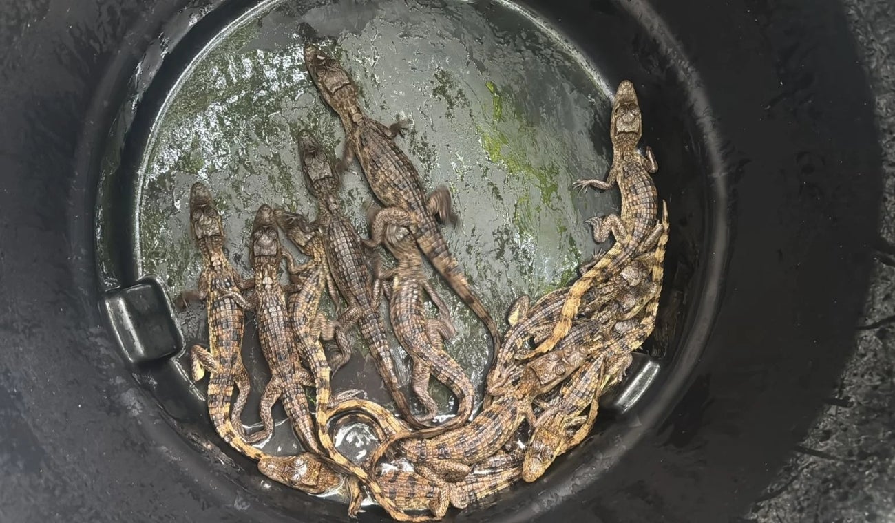 Detenidos en María La Baja, Bolívar