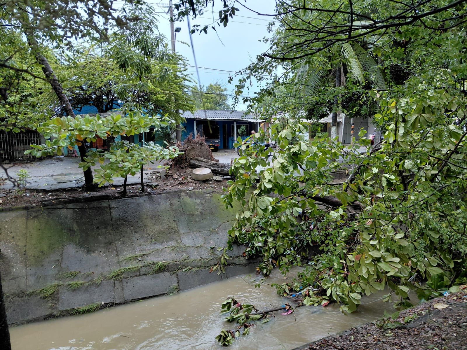 El vendaval ocurrió hoy