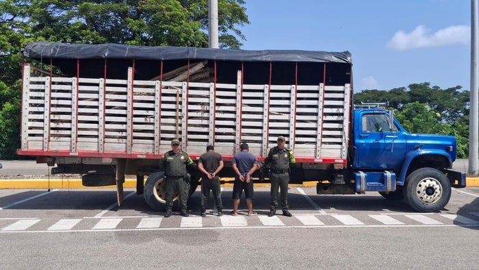 Incautan camión con madera ilegal en la vía Sincelejo - Calamar