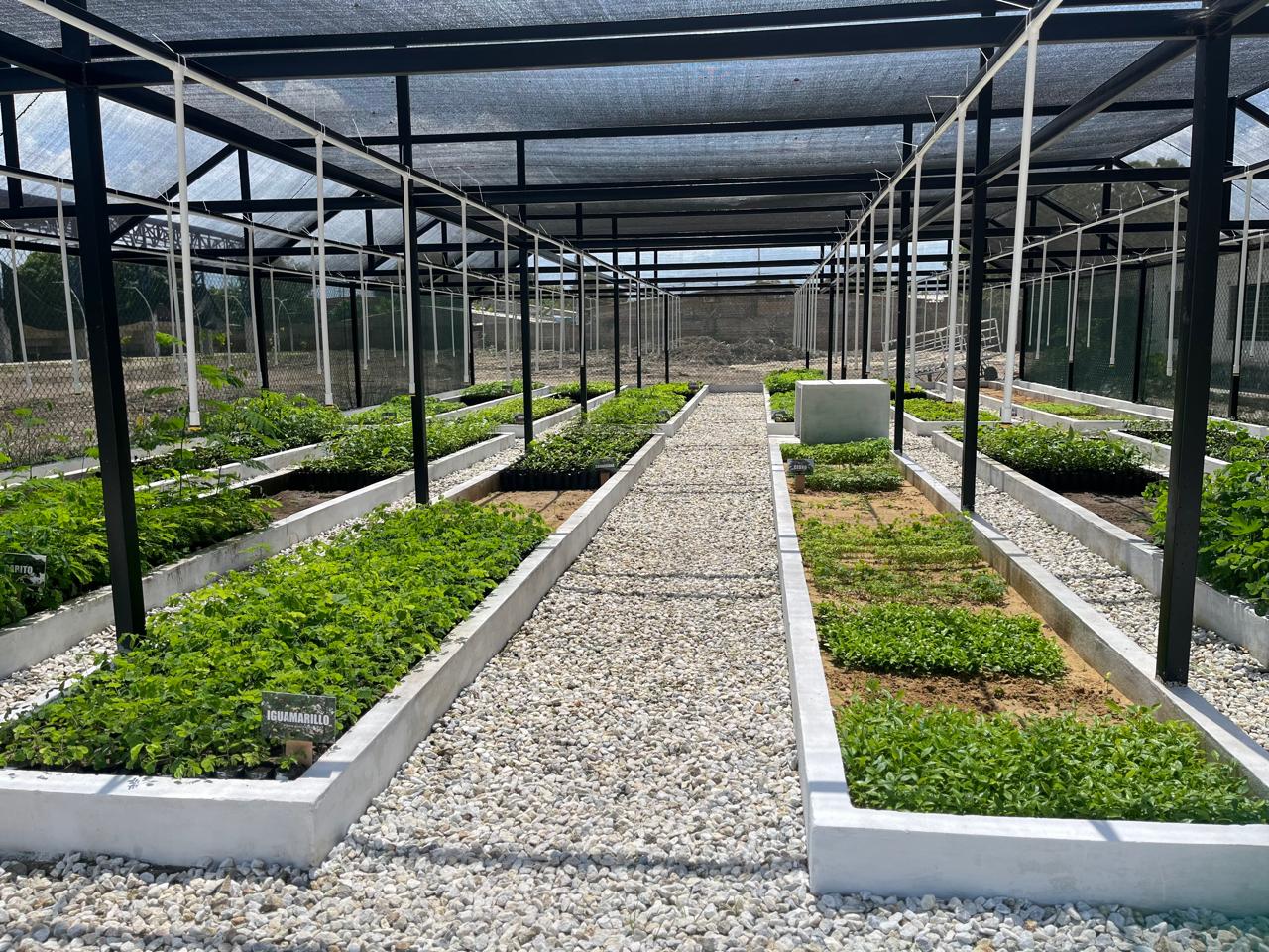 Colegio en Ciénaga recibe megavivero y centro bioclimático que florece en las manos de los estudiantes