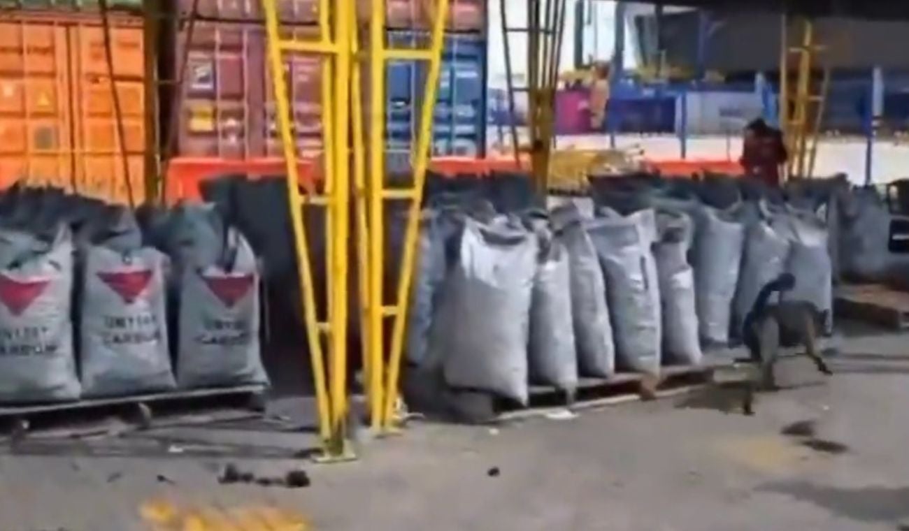 Operativo en el puerto de la ciudad