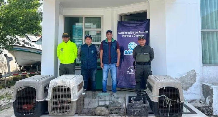 Animales decomisados