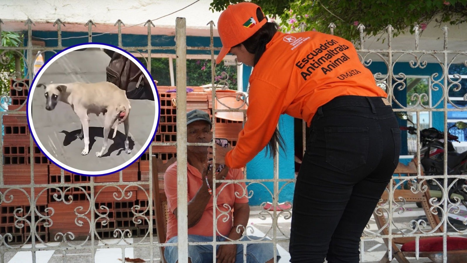 Caso de zoofilia Cartagena