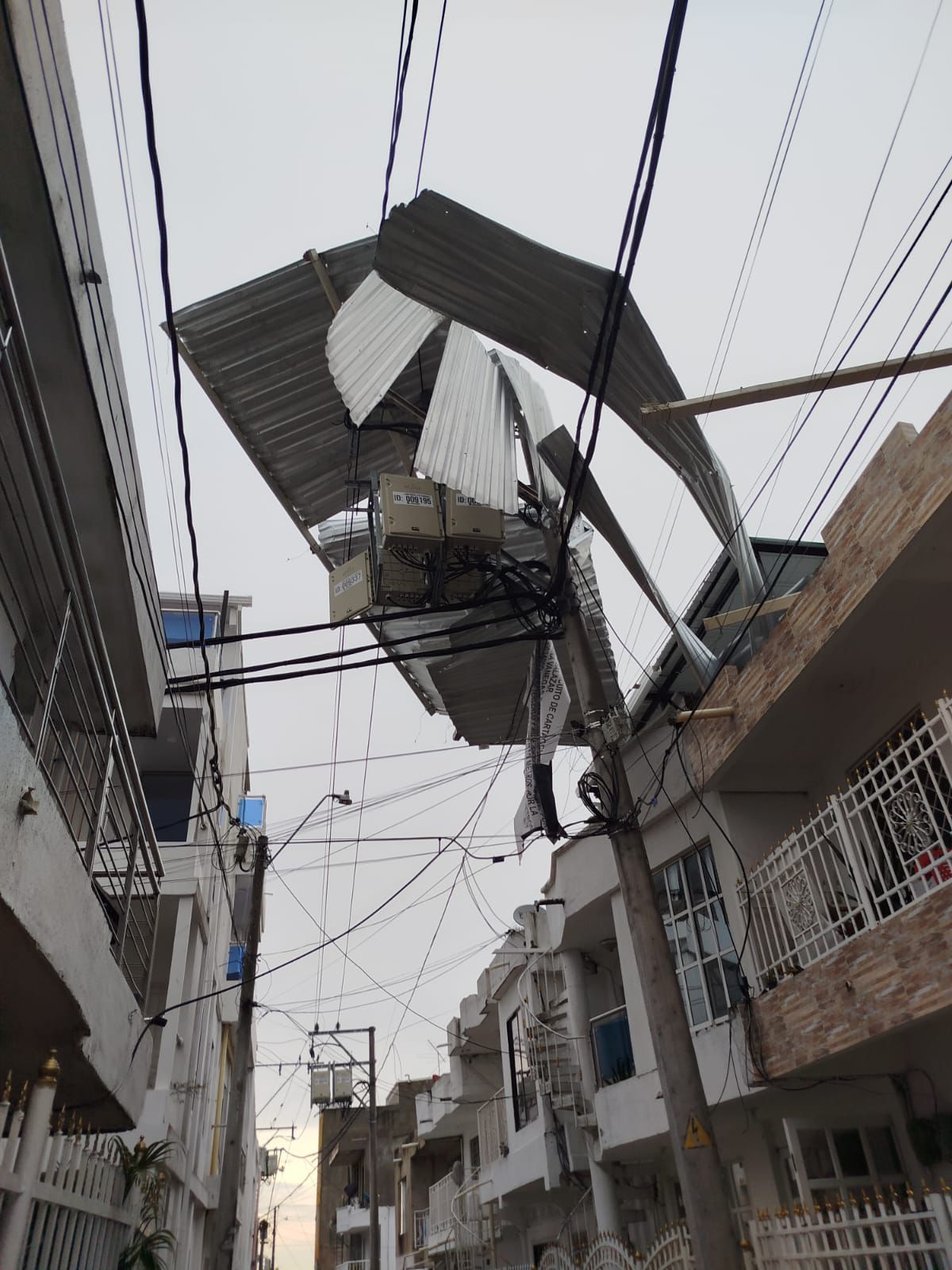 la empresa Afinia informó que la mayoría de las afectaciones se deben a la caída de árboles