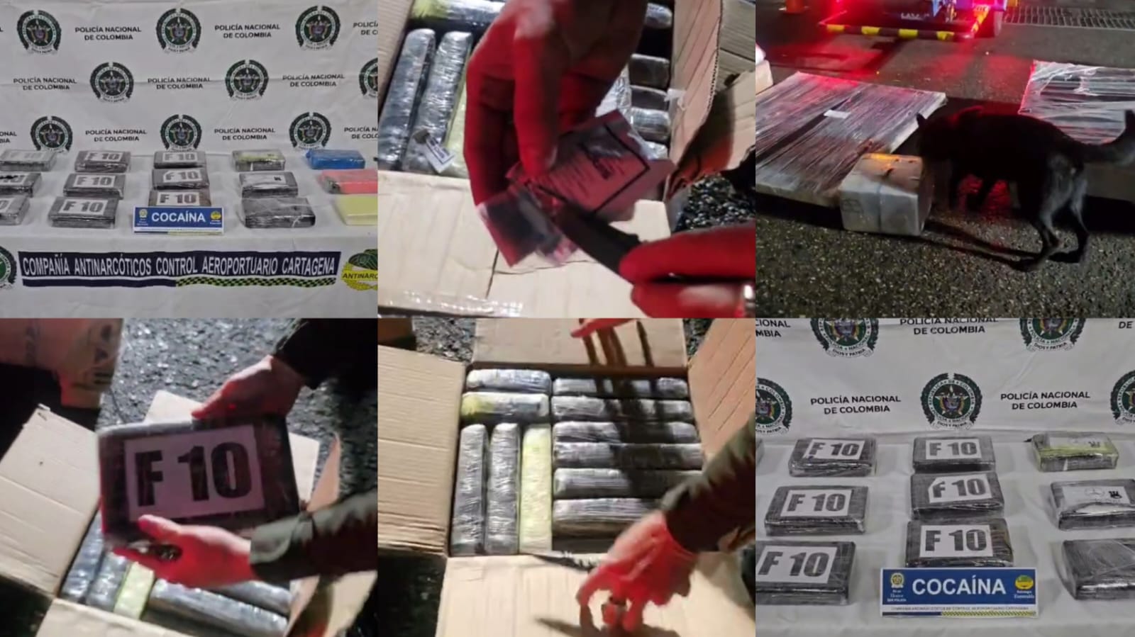 detectan 15 kg cocaína en el aeropuerto de Cartagena que iba para San Andrés sept 24