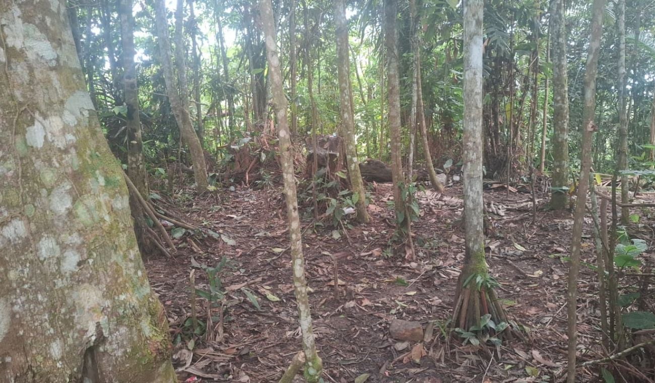 El lugar ya había sido abandonado