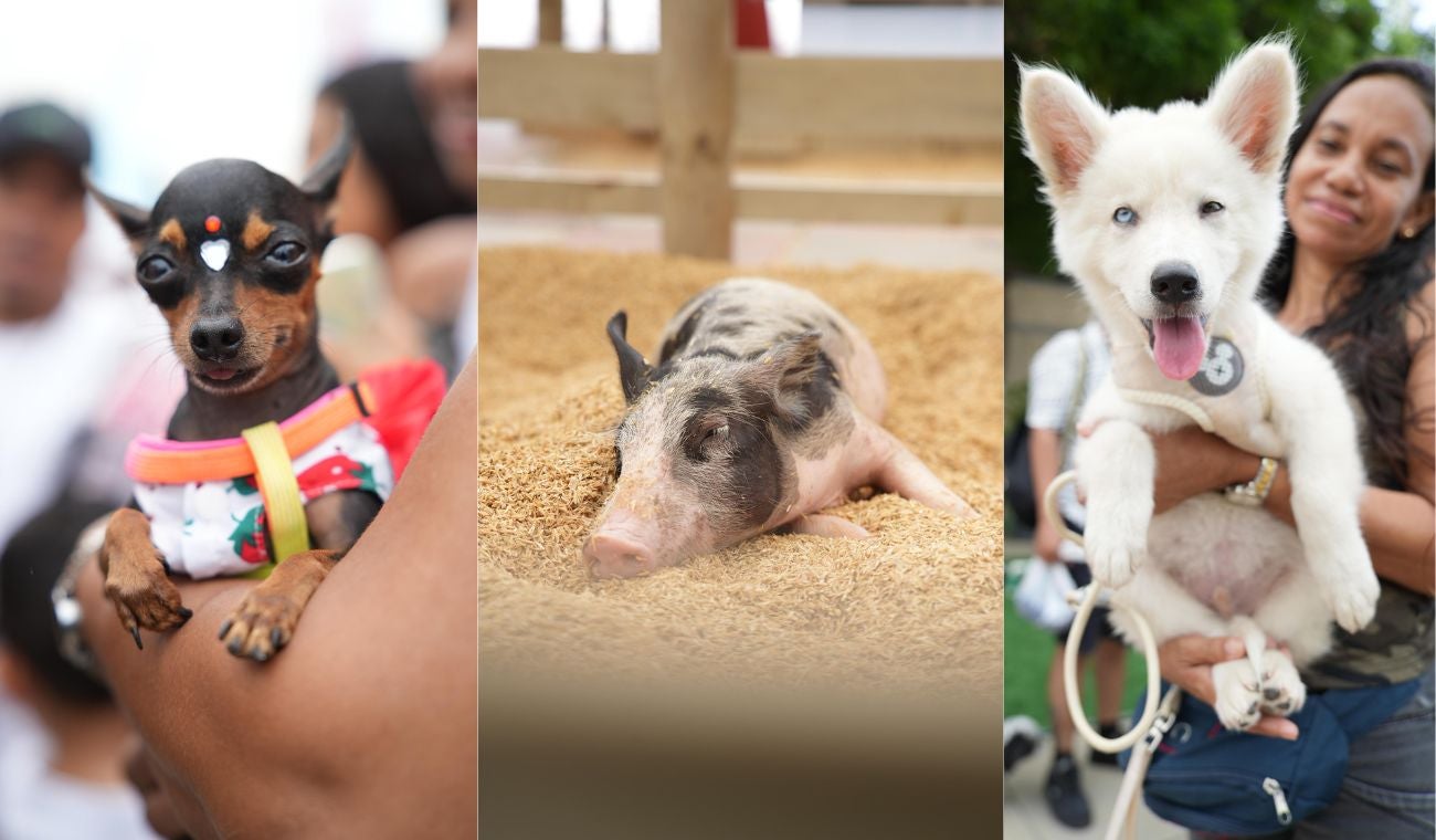 Evento que duró dos días seguidos