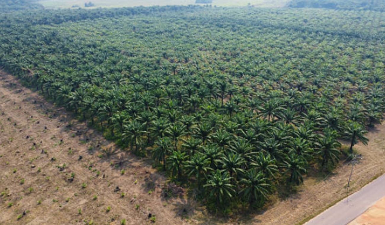Fotografía no relacionada directamente con los hechos