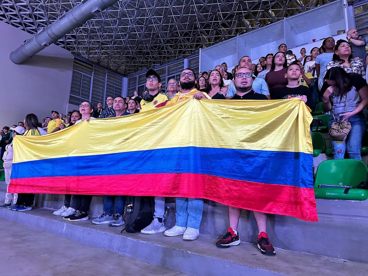 Hinchas de la Selección Colombia