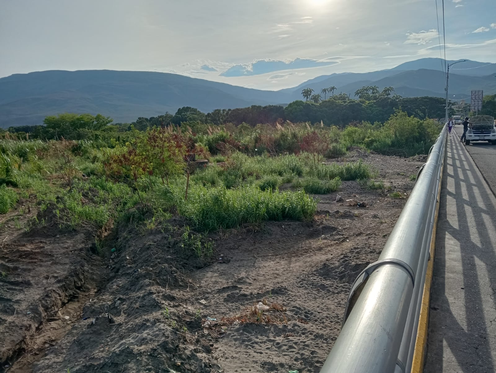 Zona boscosa en la frontera colombo-venezolana