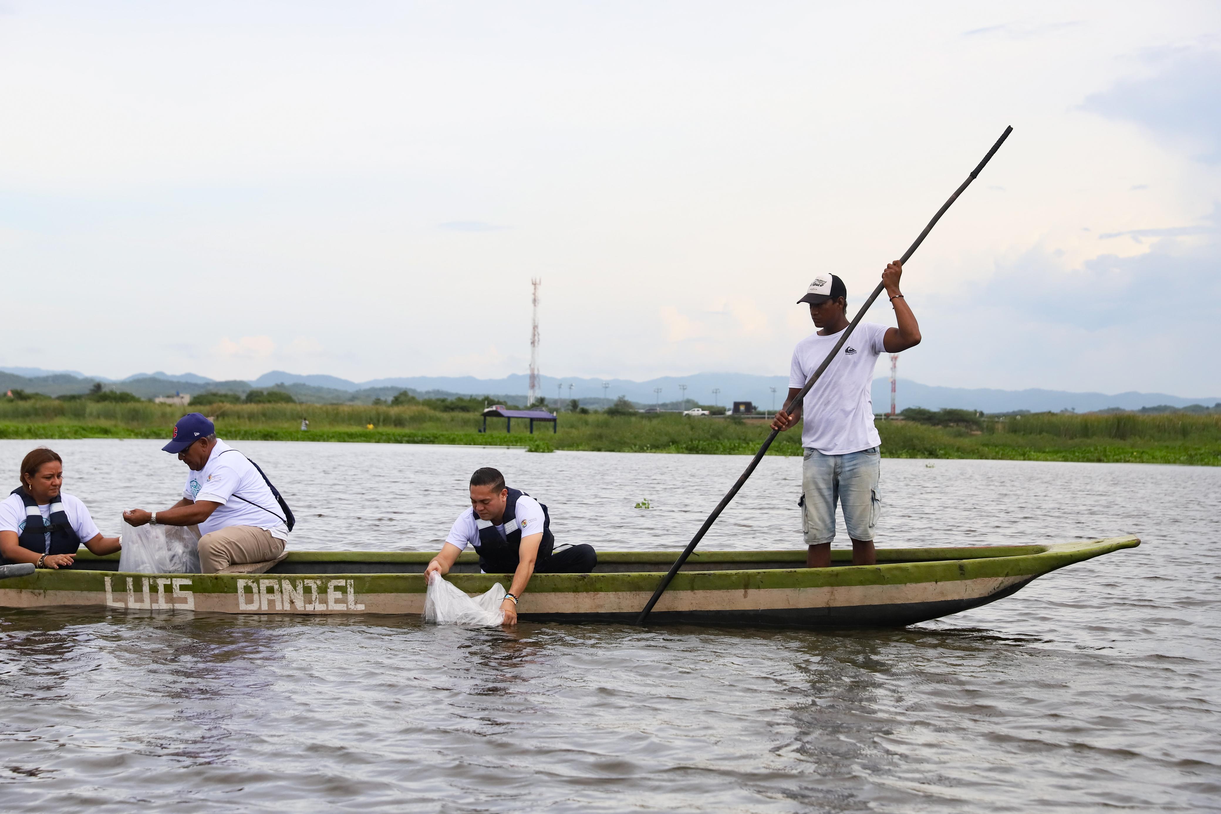 Repoblamiento con peces en Bolívar