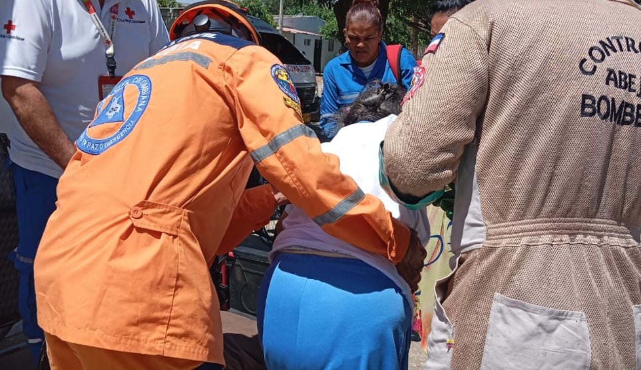 Emergencia en Valledupar: abejas atacan a 25 adultos mayores