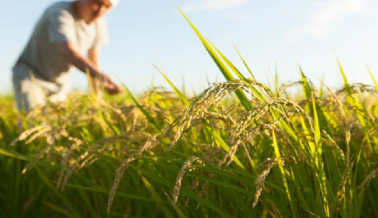 Fotografía no relacionada directamente con los hechos