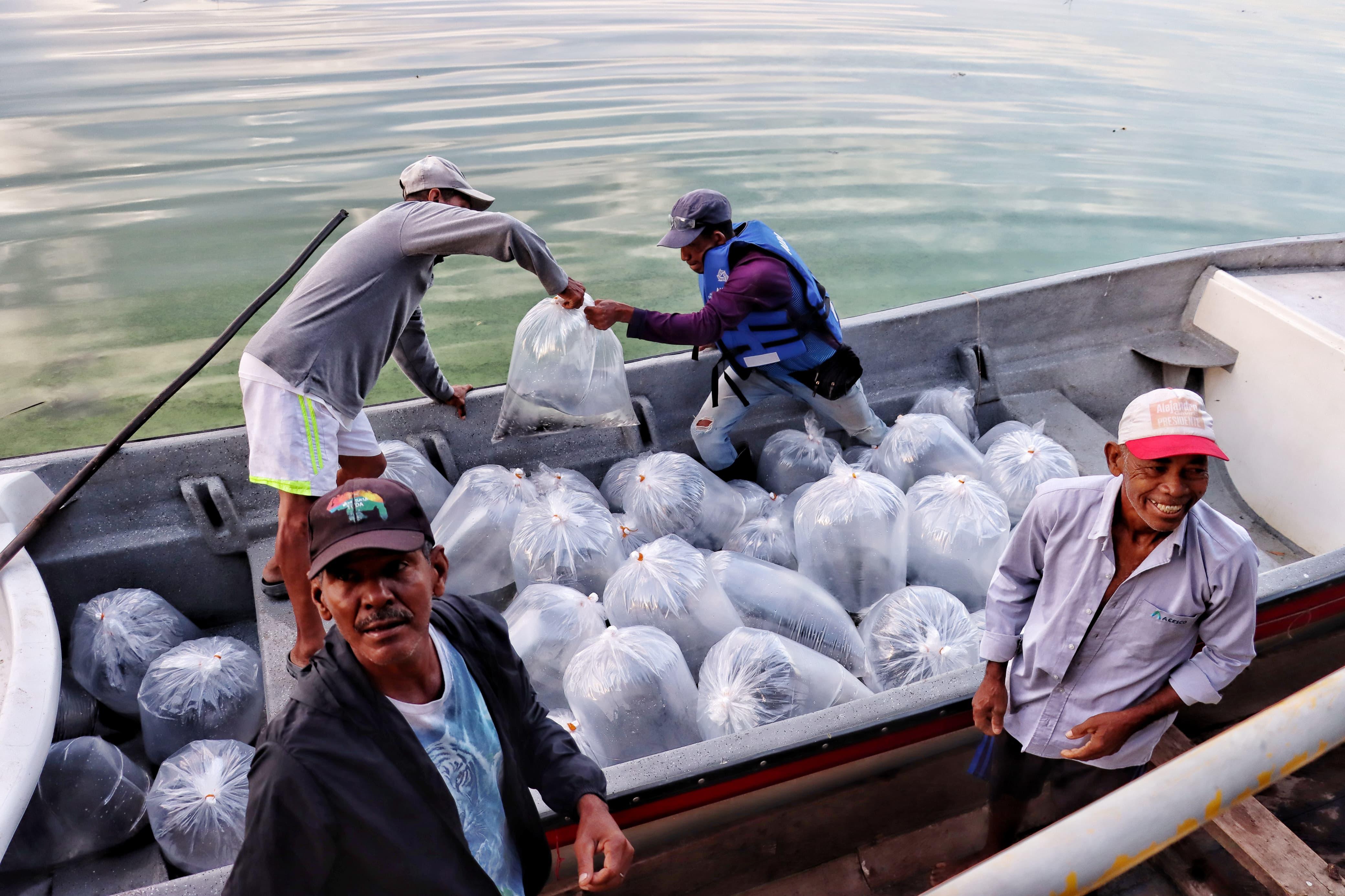 El programa ha beneficiado a por lo menos 3.000 pescadores y sus familias en ocho municipios