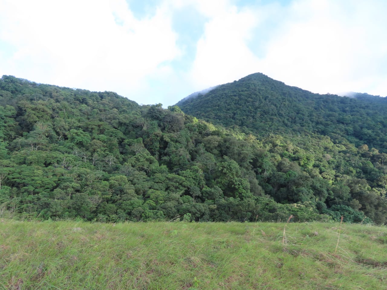 Conservación en la Serranía del Perijá.