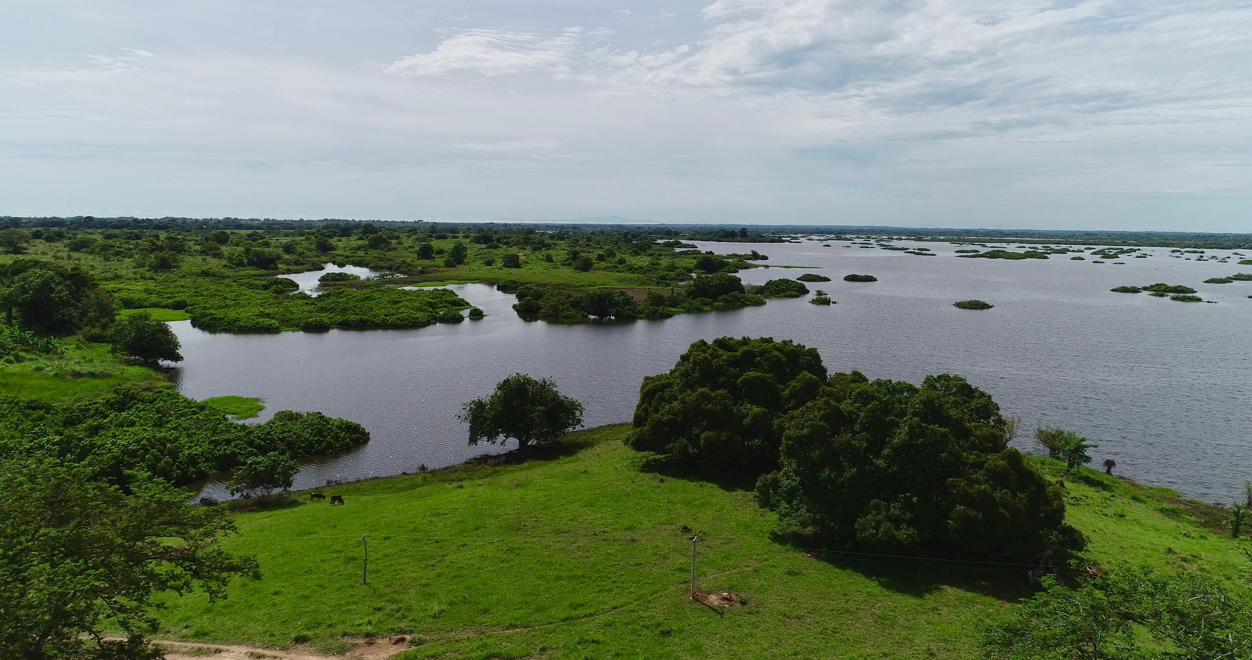 El humedal está ubicado en Buenavista