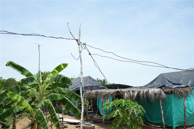 Este fenómeno afecta la sostenibilidad energética