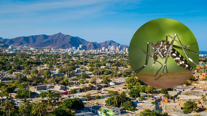 Aumentan más del 50% los casos de dengue en Santa Marta y Magdalena
