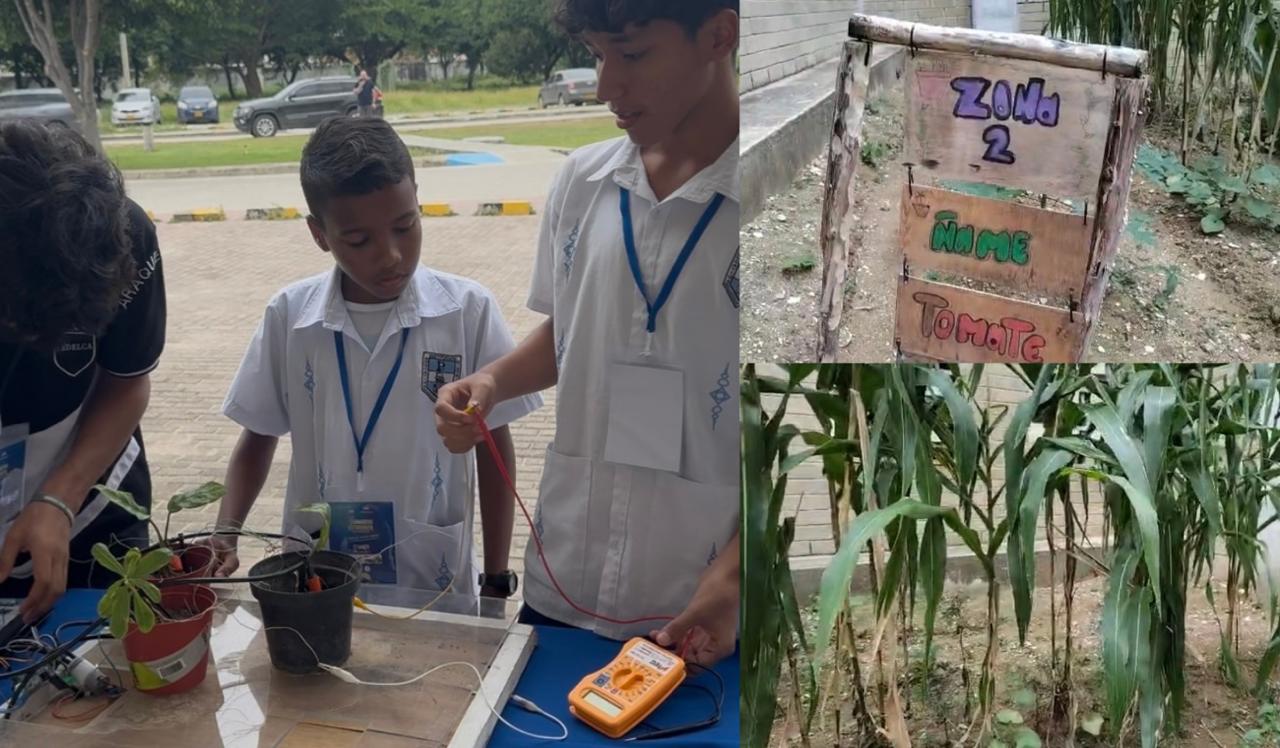 Estudiantes de un colegio en Santa Marta impulsan investigación que transforma huertos escolares en fuentes de energía limpia