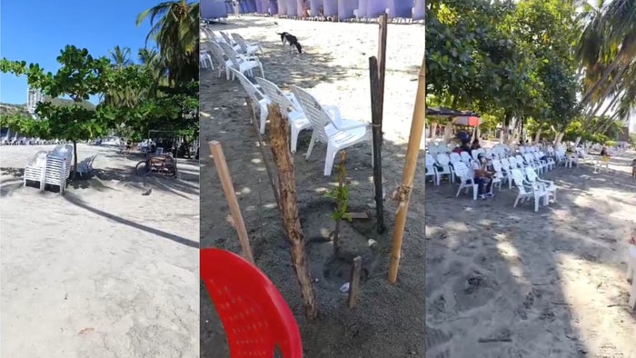 Polémica en El Rodadero entre prestadores turísticos y la Alcaldía por siembra de árboles en la playa
