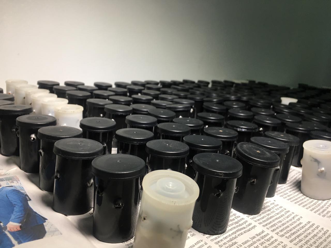 RESCATAN 216 RANAS EN EL AEROPUERTO