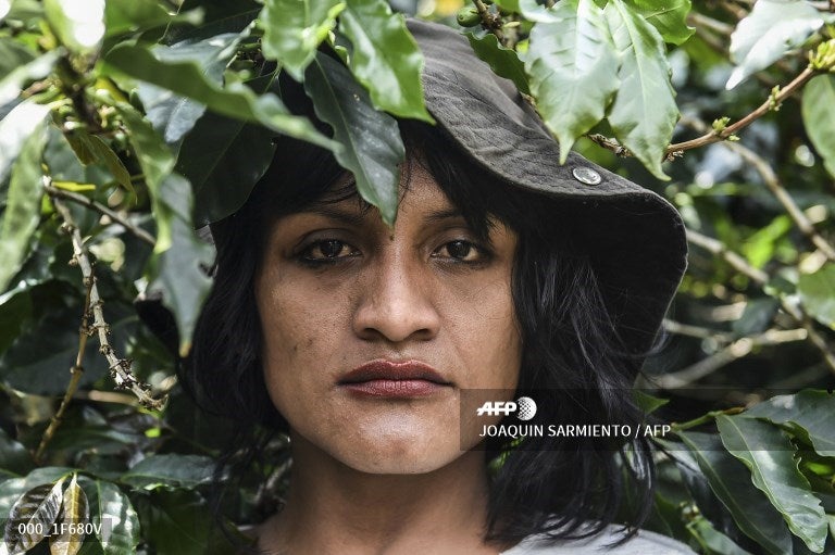 indígena transgéner