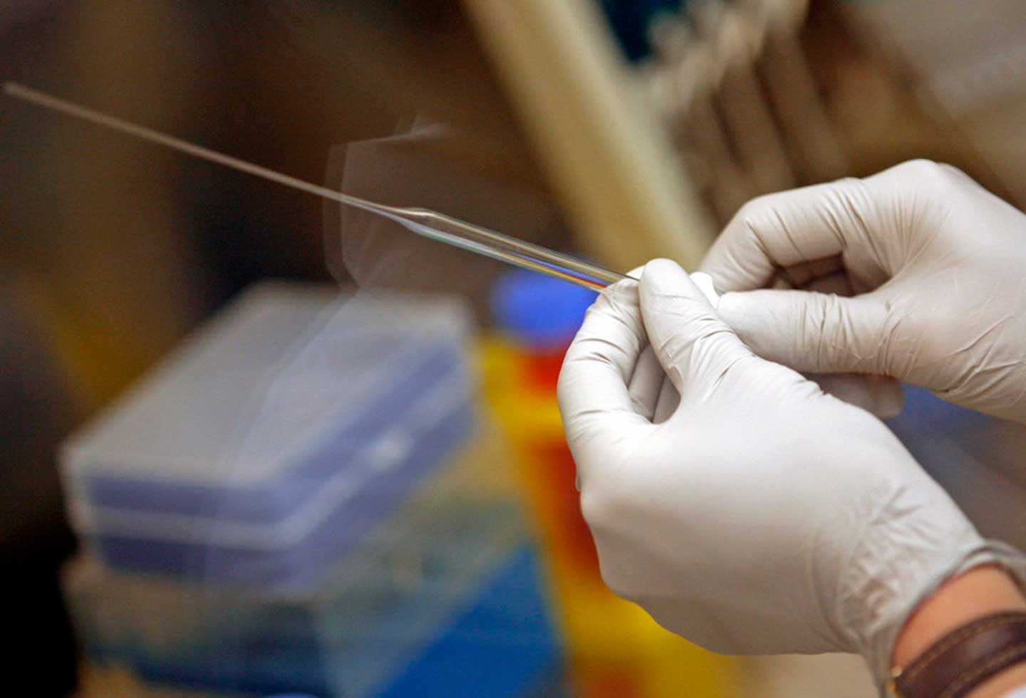 Referencia prueba médica.