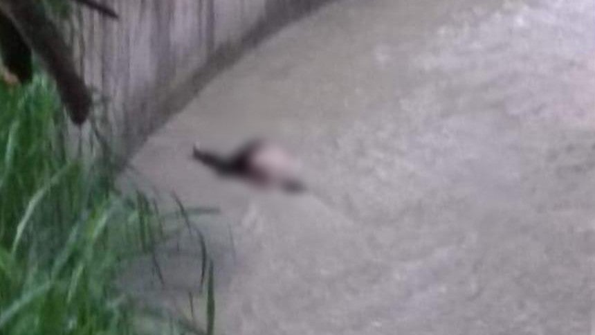 Cuerpo en quebrada de Belén