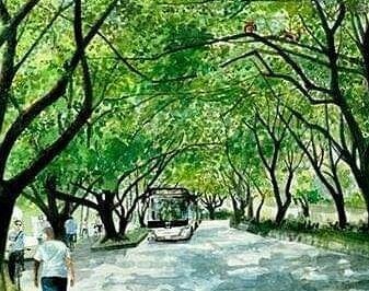 Referencia tramo 2B del Metroplús.