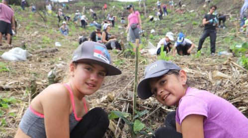 3.800 árboles fueron sembrados en el Cerro de las Tres Cruces de Medellín