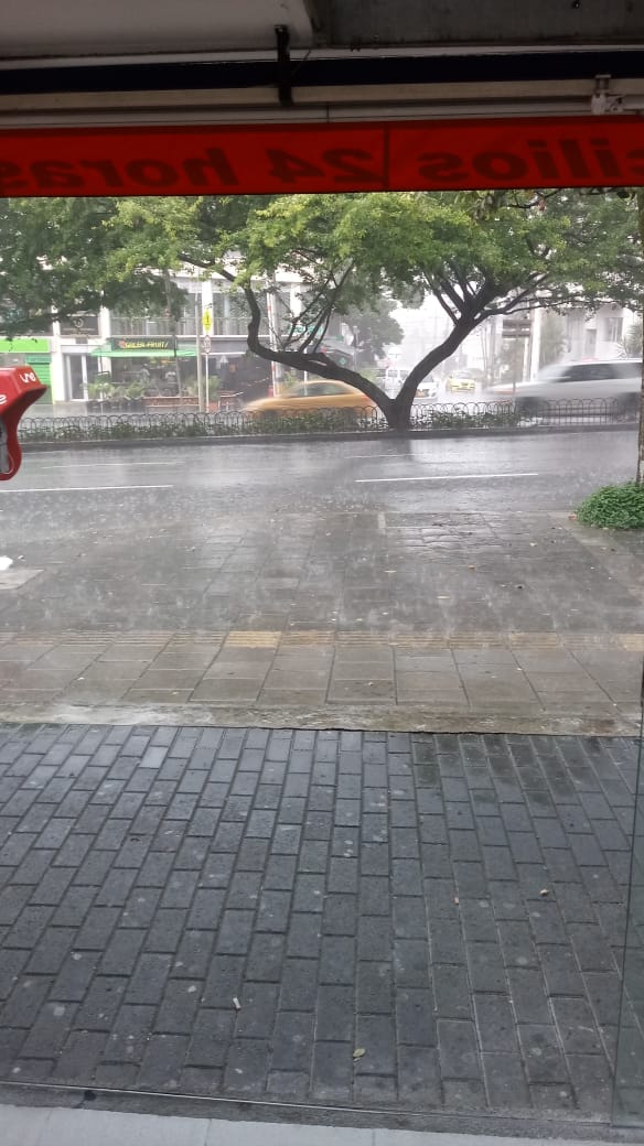 Árboles caídos y vías colapsadas dejó fuerte granizada en Medellin