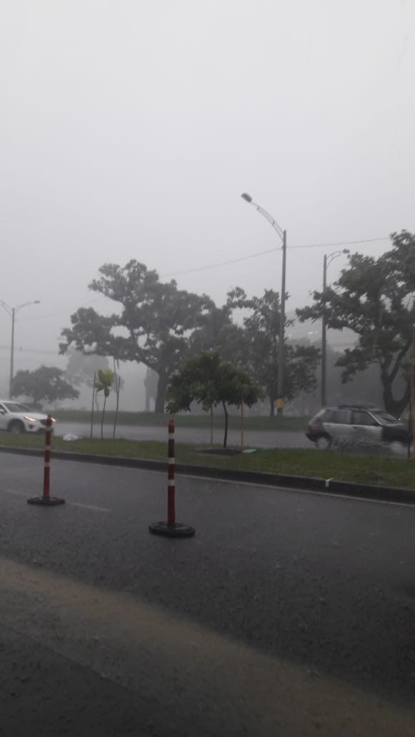 Árboles caídos y vías colapsadas dejó fuerte granizada en Medellin
