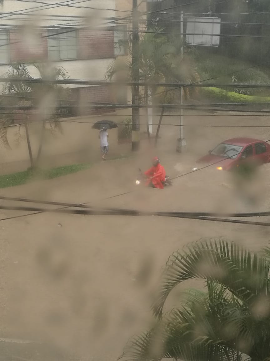 Árboles caídos y vías colapsadas dejó fuerte granizada en Medellin