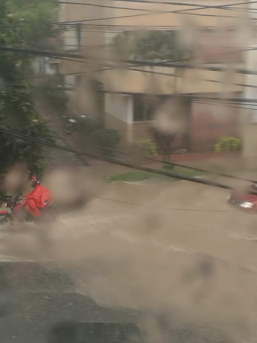 Árboles caídos y vías colapsadas dejó fuerte granizada en Medellin