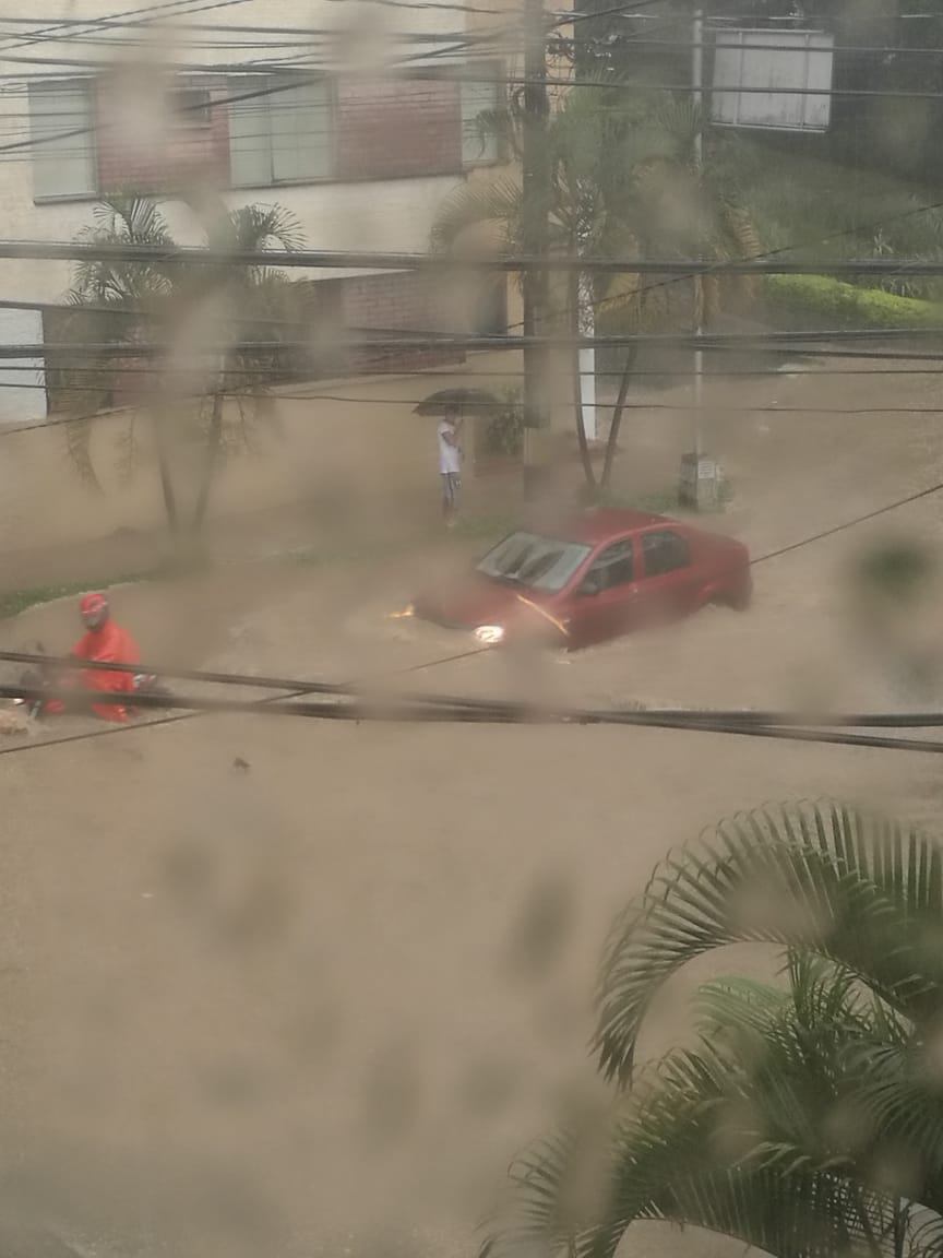 Árboles caídos y vías colapsadas dejó fuerte granizada en Medellin