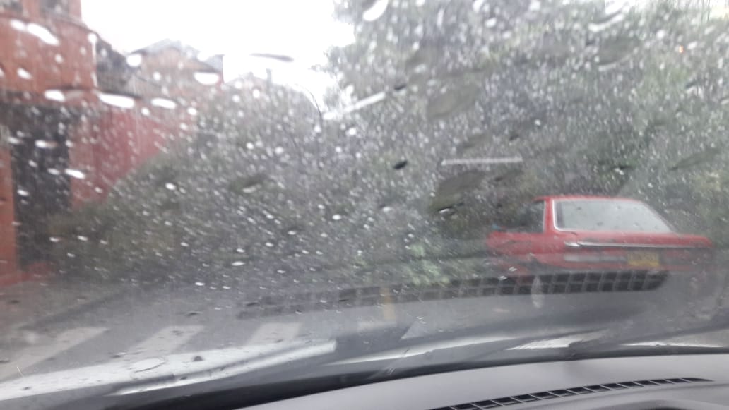 Árboles caídos y vías colapsadas dejó fuerte granizada en Medellin