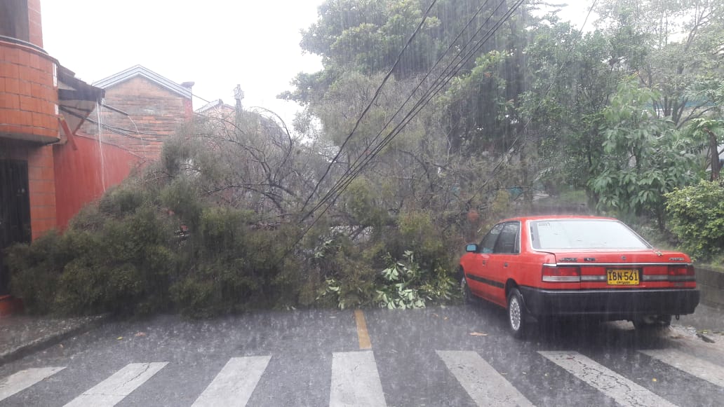 Árboles caídos y vías colapsadas dejó fuerte granizada en Medellin