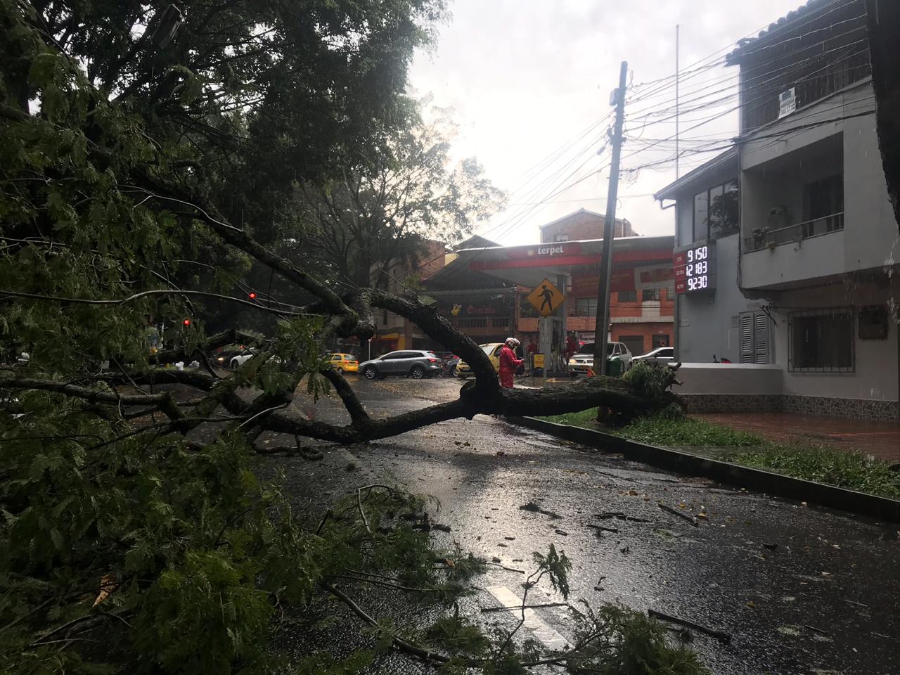 Árboles caídos y vías colapsadas dejó fuerte granizada en Medellin
