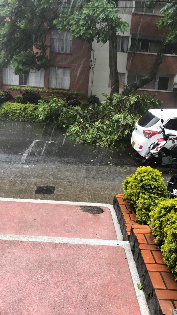 Árboles caídos y vías colapsadas dejó fuerte granizada en Medellin