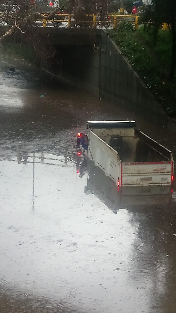 Árboles caídos y vías colapsadas dejó fuerte granizada en Medellin